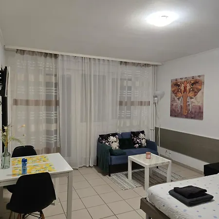 Apartmán 110 Pres Basel Airport